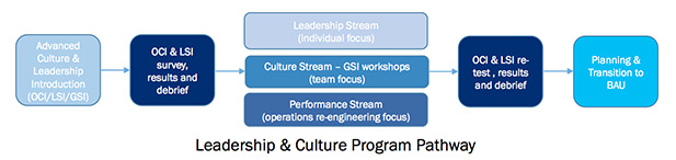 leading-culture-diagram2